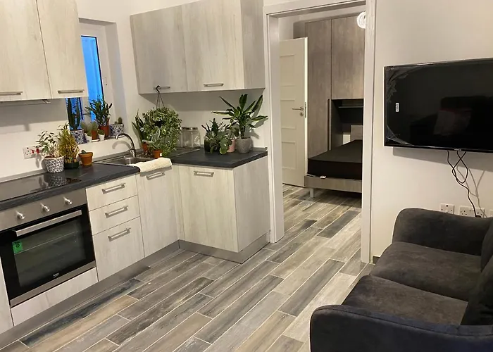 One Beautiful Bedroom Flat In Pieta